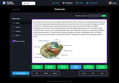 Intuitive Flashcards